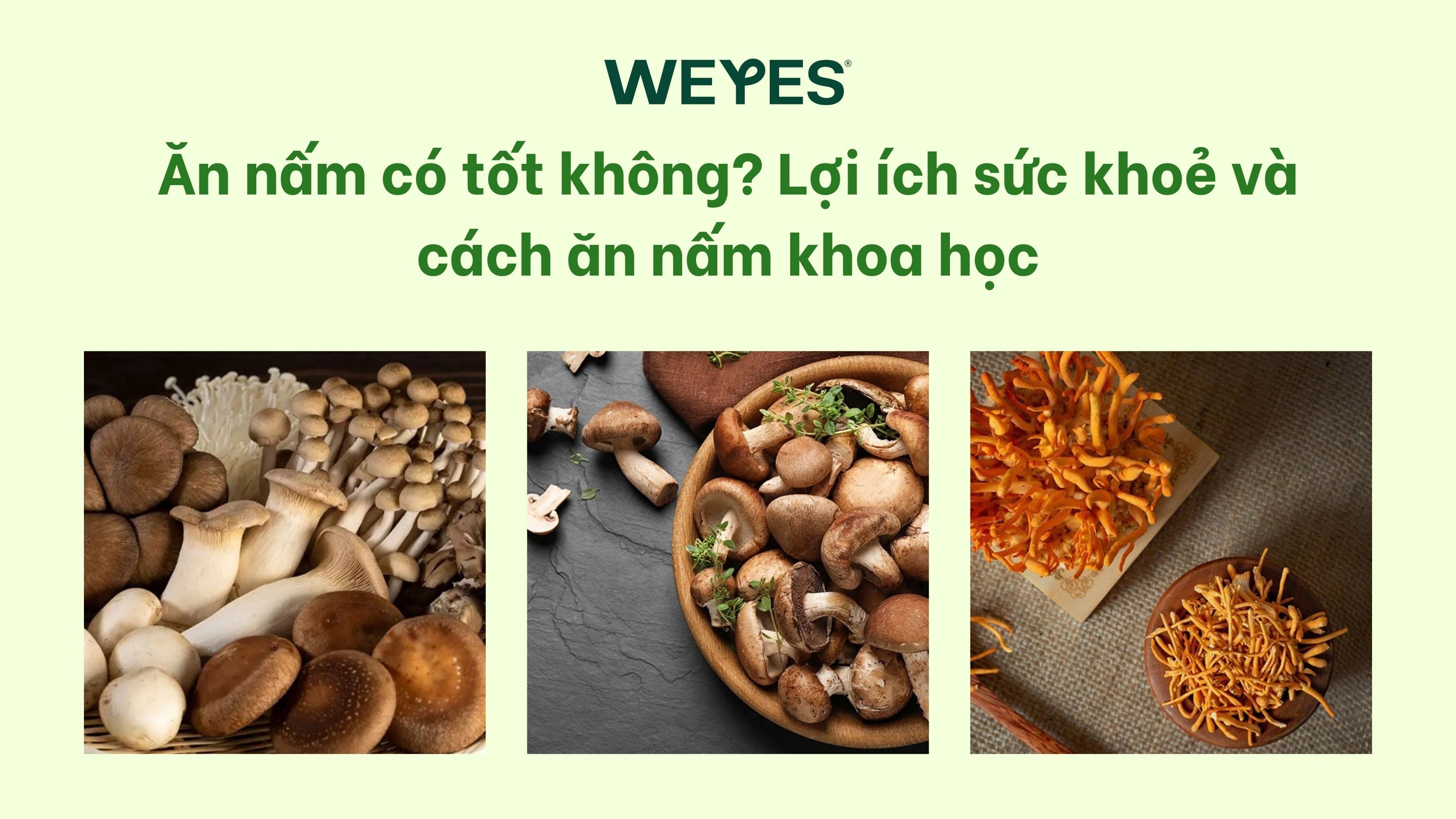 Ăn nấm có tốt không? Lợi ích sức khoẻ và cách ăn nấm khoa học